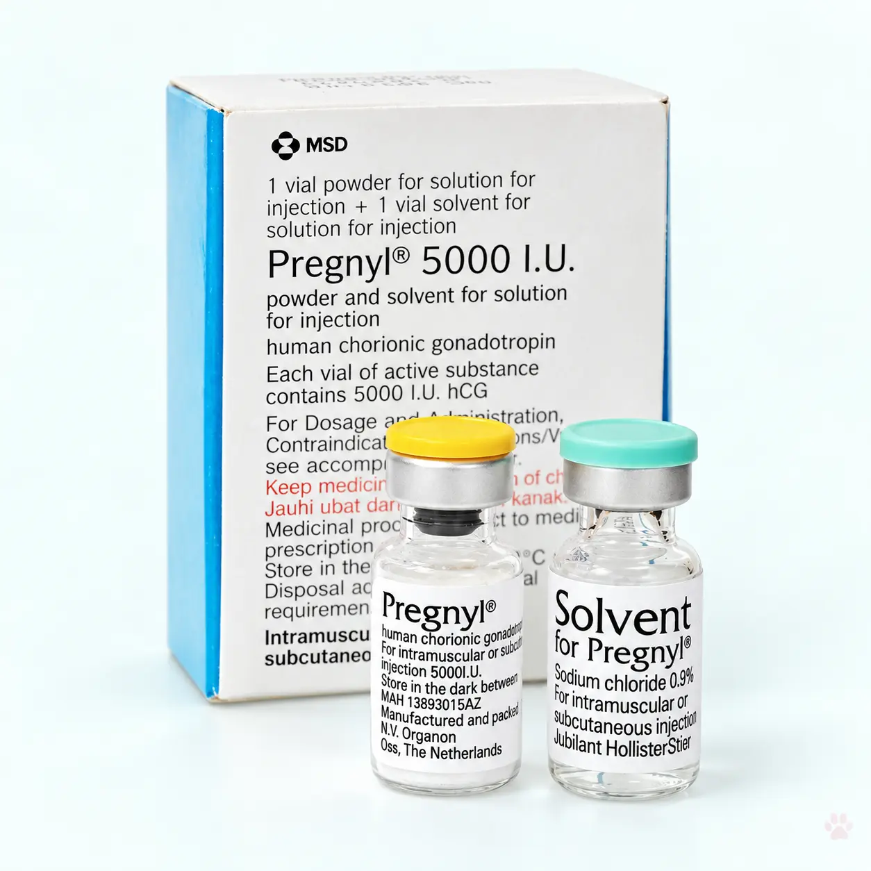 Pregnyl 5000 IU product image